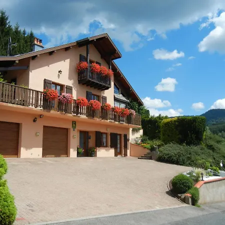 Lägenhet Charmant Studio Avec Terrasse Privee, Wifi, Animaux Admis - Fr-1-589-236 Wisembach