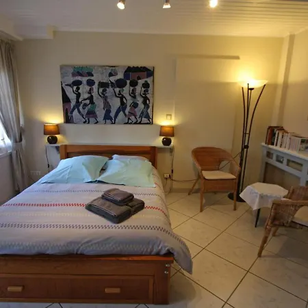 Lägenhet Charmant Studio Avec Terrasse Privee, Wifi, Animaux Admis - Fr-1-589-236 *