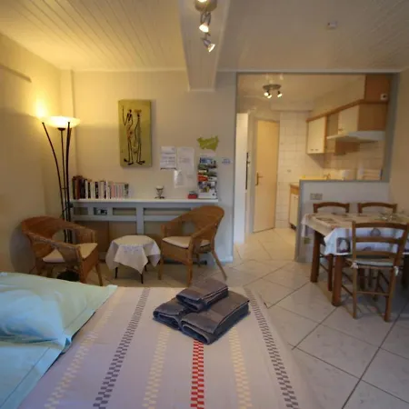 Charmant Studio Avec Terrasse Privee, Wifi, Animaux Admis - Fr-1-589-236 Lägenhet *