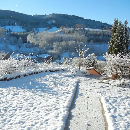 Lägenhet Charmant Studio Avec Terrasse Privee, Wifi, Animaux Admis - Fr-1-589-236